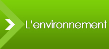 L'environnement